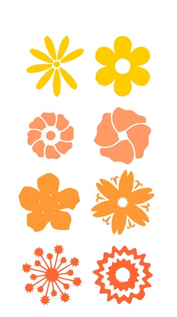 naranja y flores amarillas sobre un fondo blanco