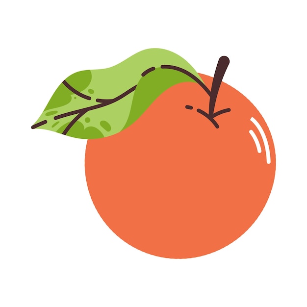 Naranja con hoja aislado sobre fondo blanco.