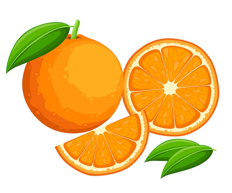 Vector naranja con hojas enteras y rodajas de naranjas. ilustración de naranjas. ilustración para cartel decorativo, producto natural emblema, mercado de agricultores.
