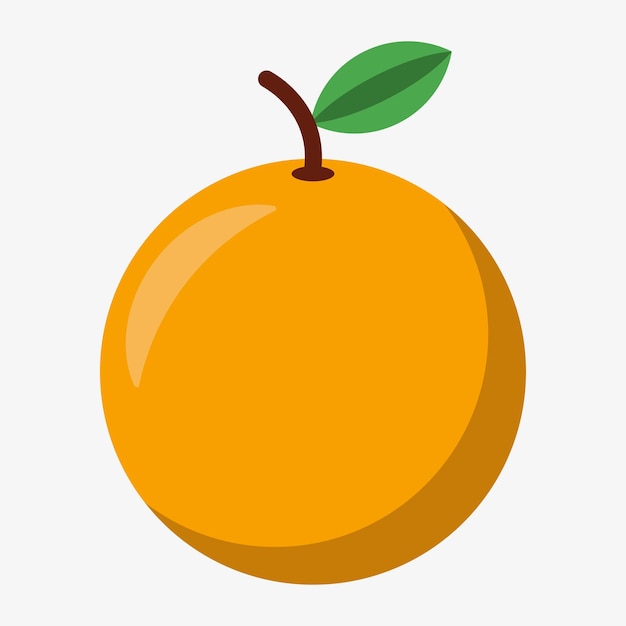 una naranja en ilustración vectorial en fondo blanco aislado