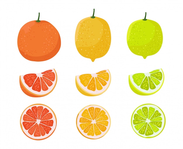 Naranja, limón y lima ilustración. ilustración de la familia de cítricos.