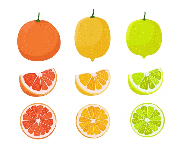 Naranja, Limón Y Lima Ilustración. Ilustración de la familia de cítricos.