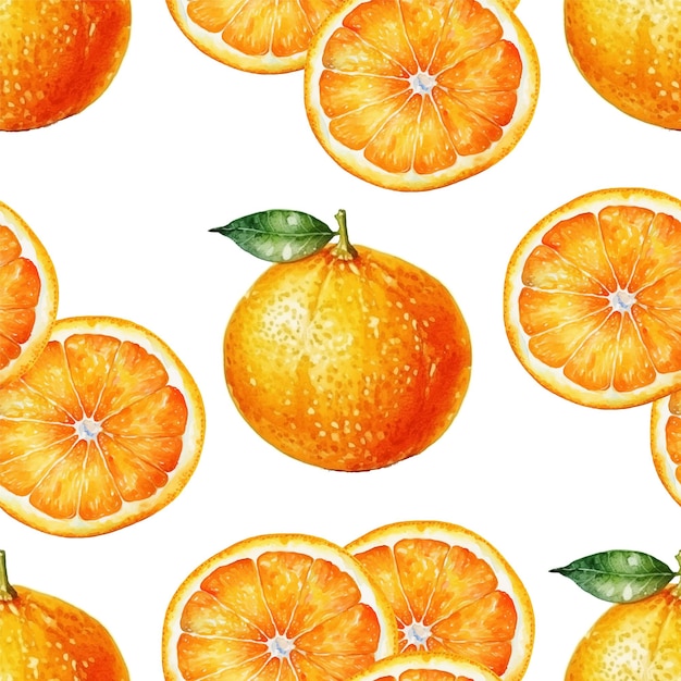 Naranja mandarina cítricos vector de patrones sin fisuras cocina textil impresión