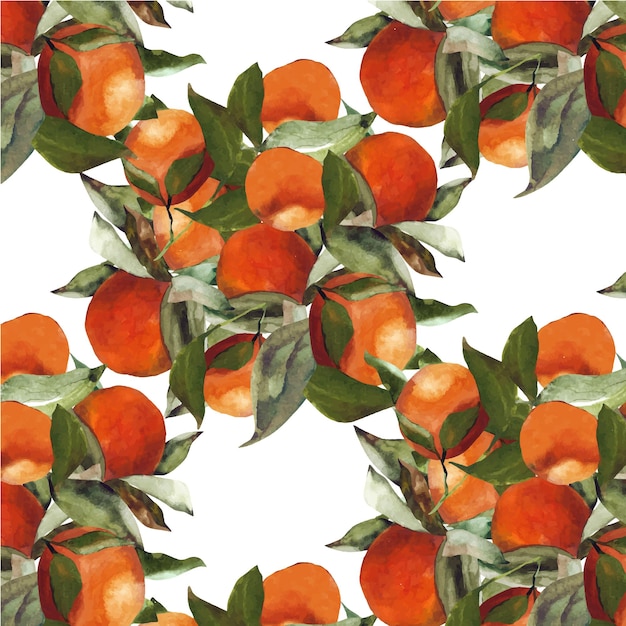 naranja de patrones sin fisuras con hojas verdes acuarela vectorial aislada en blanco