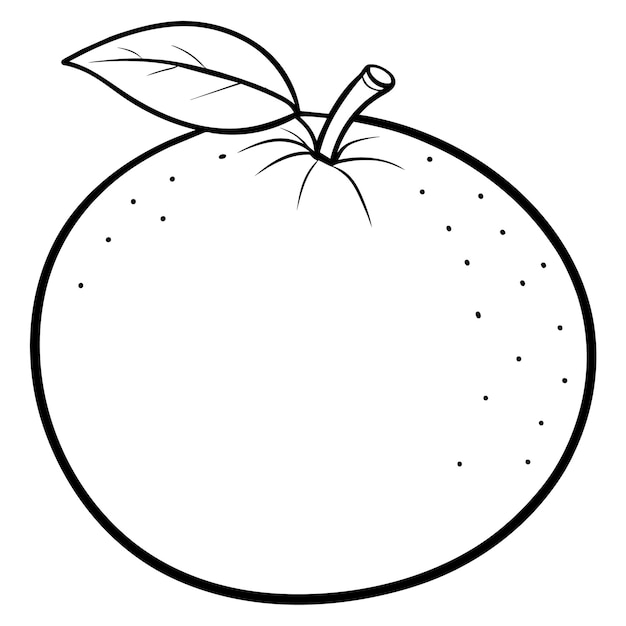 Vector una naranja con semillas en ella y un dibujo de un limón