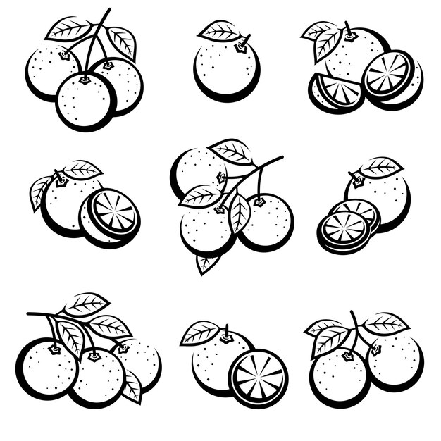 naranjas, conjunto, colección, iconos, naranja, vector