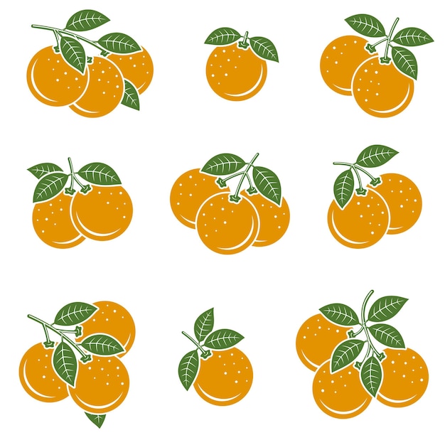 Naranjas, conjunto, colección, iconos, naranja, vector