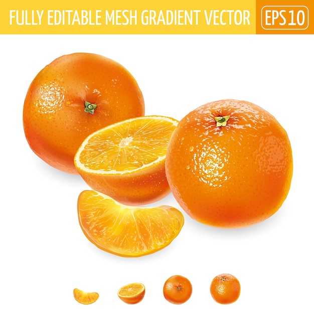 Vector naranjas enteras y en rodajas sobre un fondo blanco.