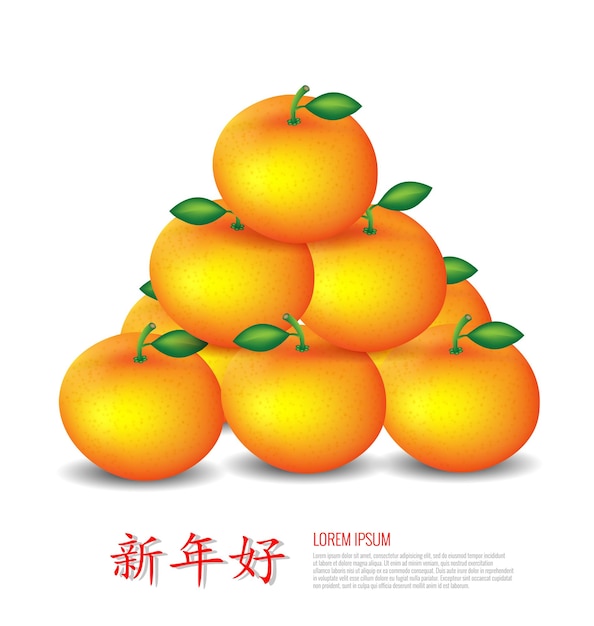 Naranjas mandarinas sobre fondo blanco palabras chinas traducción es feliz año nuevo