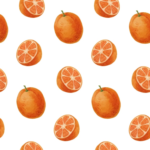 Naranjas de patrones sin fisuras Naranjas de acuarela y la mitad de naranjas sobre fondo blanco Vector