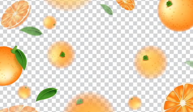 Vector naranjas, rodajas de naranjas con hojas verdes