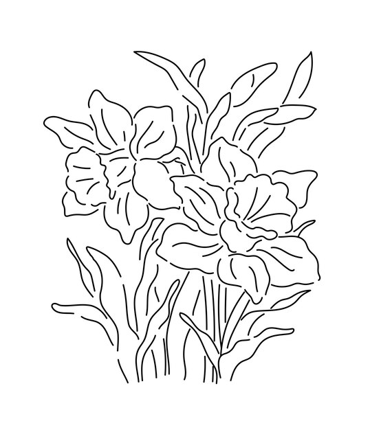 Narciso dibujado a mano vector flores línea arte