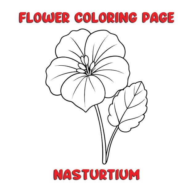 NASTURTIUM flores libro de colorear para niños