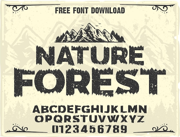 NATURALEZA BOSQUE ALFABETO FUENTE VINTAGE RETRO SERIF ESCRITURA FUENTE TIPOGRAFÍA LETRAS AVENTURA AL AIRE LIBRE