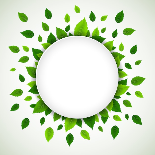 La naturaleza de fondo con hojas verdes