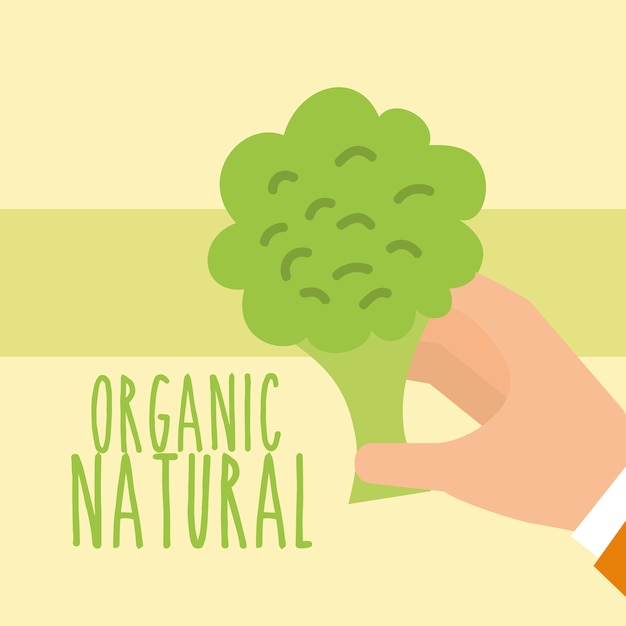 Naturaleza orgánica de los alimentos