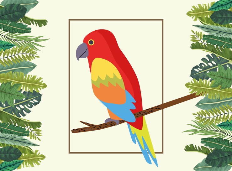 Vector naturaleza de pájaro loro tropical salvaje en marco cuadrado