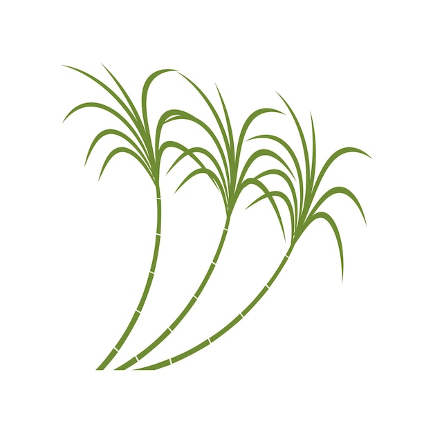 Naturaleza del símbolo del vector de la plantilla del logotipo de la caña de azúcar