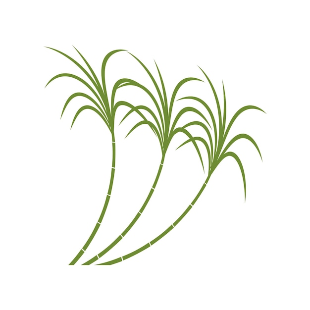 Vector naturaleza del símbolo del vector de la plantilla del logotipo de la caña de azúcar