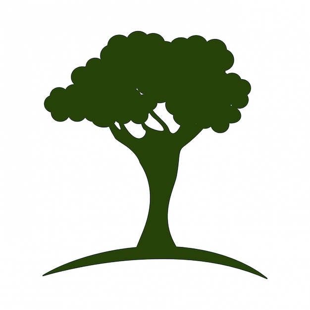 naturaleza verde del árbol