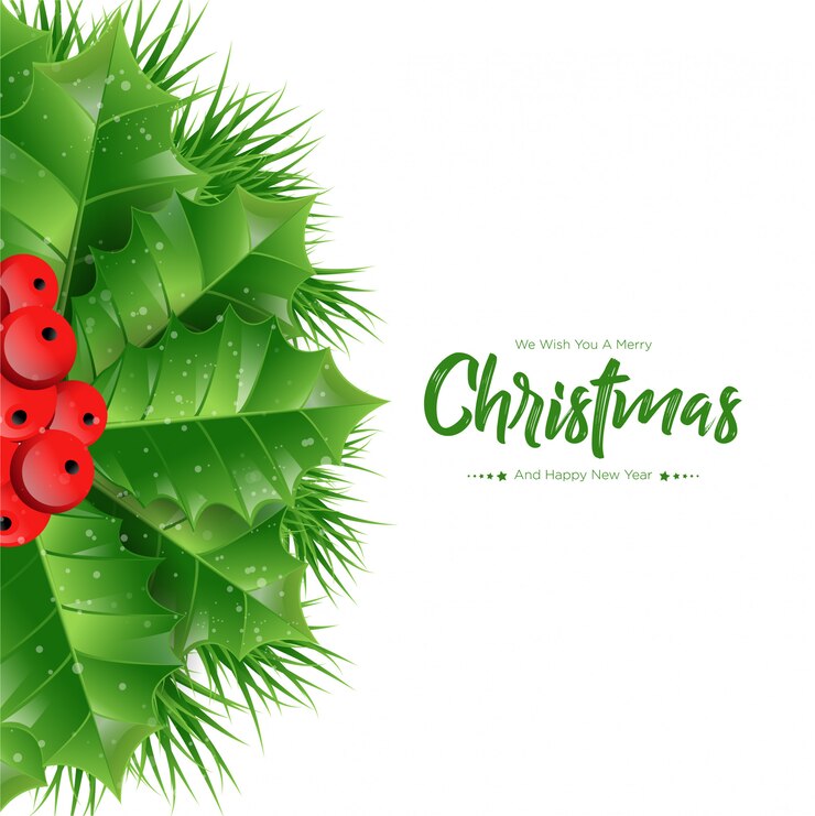 Vector navidad de ramas de abeto