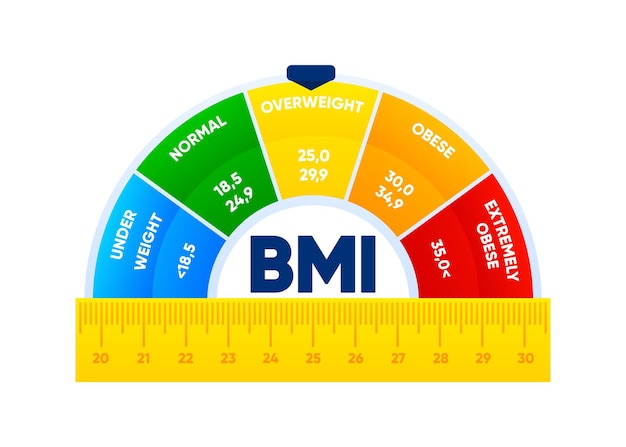 Índice de masa corporal Concepto de pérdida de peso Escala de IMC Antes y después de la dieta y el fitness Estilo de vida saludable Ilustración vectorial