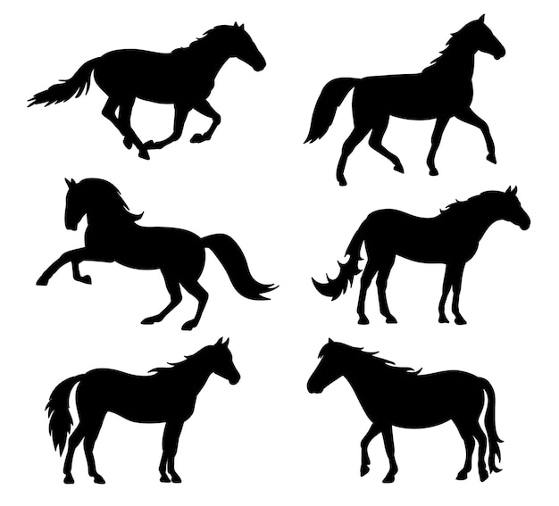 negro, silueta, de, funcionamiento, caballos, aislado, blanco, plano de fondo