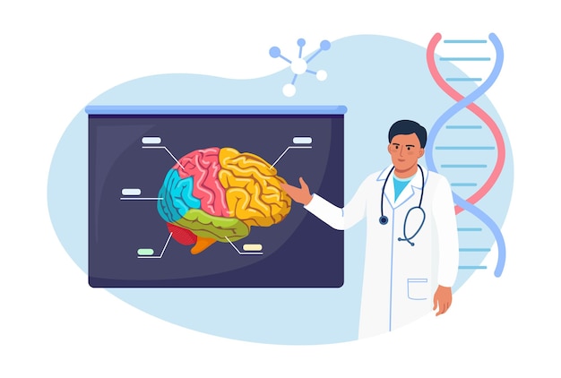 Vector el neurocirujano, el neurólogo examinan el cerebro. doctor apuntando a tablero de letrero médico con cerebro humano. médico o científico que enseña sobre el alzheimer, la demencia, la enfermedad mental o neurológica.