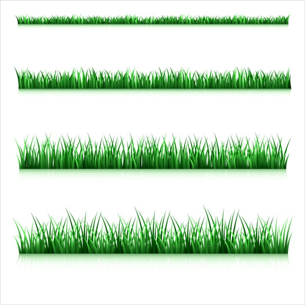 A new Fresh green grass isolated against a transparent background