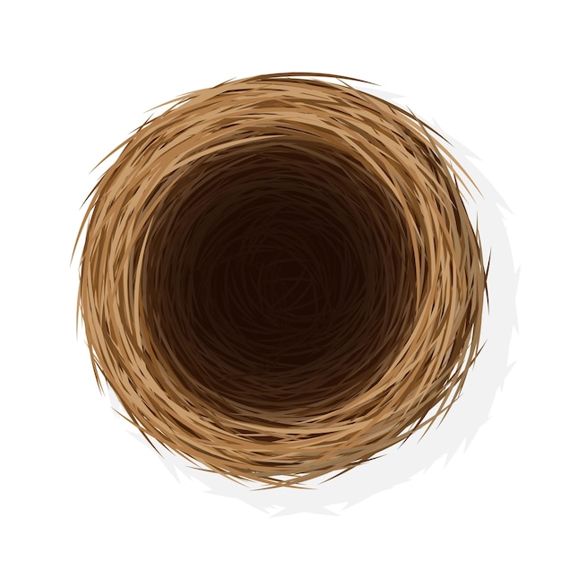 Nido de pájaro salvaje de paja y ramitas. Ilustración de la vista superior del nido