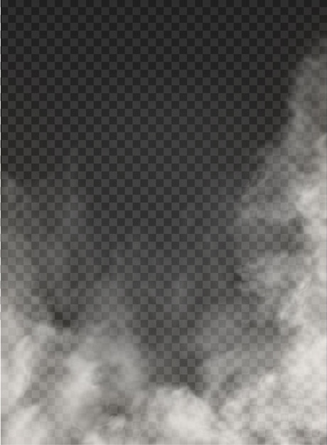 Vector niebla y humo aislado en transparente
