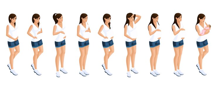 Vector la niña isométrica está embarazada cuidando la salud y la nutrición de una mujer embarazada.
