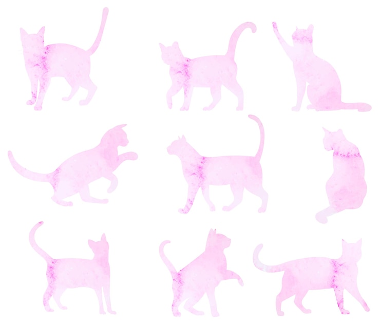 Vector niñas con dibujo portátil por una línea continua, aislado, vector