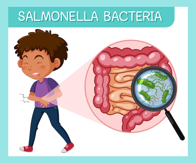 Vector niño con la bacteria salmonella