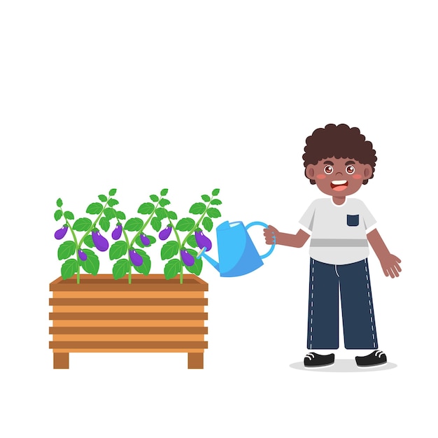 Niño feliz regando berenjena en el jardín sobre un fondo blanco