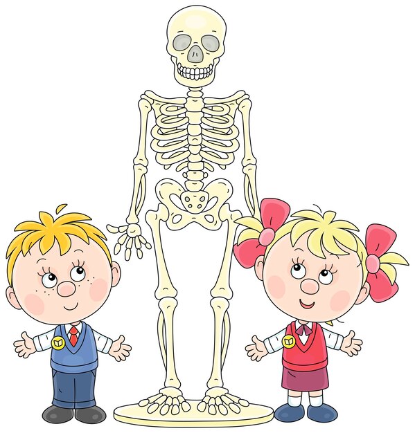Vector un niño y una niña divertidos estudiando un esqueleto humano en una lección de anatomía en la escuela.