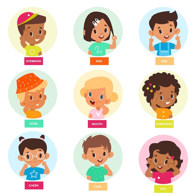 Niño señalando la parte de la cara Los niños lindos denotan rasgos faciales muestran frente mejilla ojos y nariz juegos educativos para bebés Órganos de los sentidos gusto y olfato escuchar mirar y tocar vector aislado conjunto