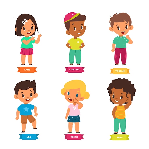 Niño señalando parte del cuerpo pequeños niños y niñas preescolares divertidos muestran manos pies pelo y barriga ubicación lengua y dientes juegos educativos para niños pequeños cartel para kindergarten vector dibujos animados conjunto aislado