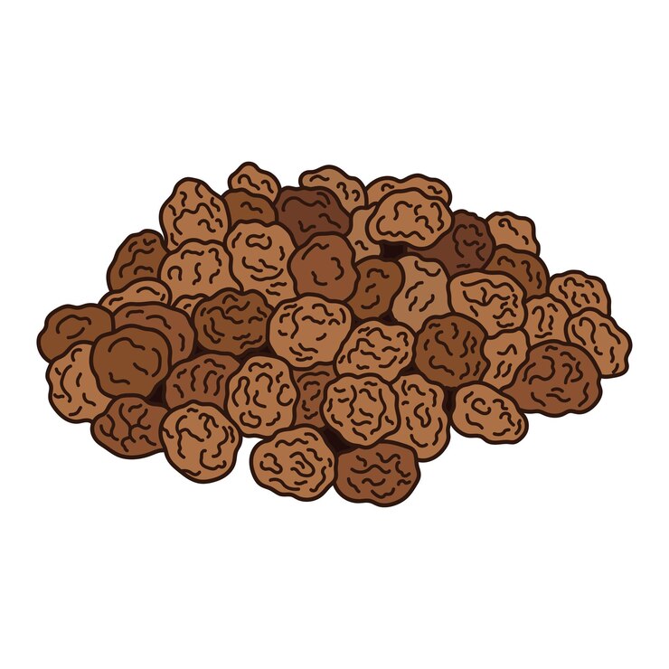 Vector niños dibujando ilustración vectorial nueces de tigre en estilo de dibujos animados aisladas en fondo blanco