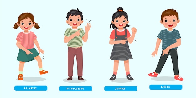 niños lindos que muestran señalando diferentes partes del cuerpo de la anatomía humana como la rodilla, el dedo, el brazo, la pierna