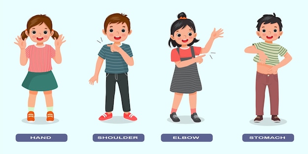 niños lindos que señalan diferentes partes del cuerpo de la anatomía humana, como la mano, el hombro, el codo, el estómago