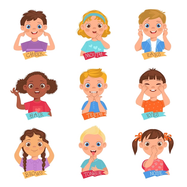 Los niños señalan la parte de la cara Los niños pequeños y divertidos demuestran diferentes órganos de la cabeza Imágenes educativas Los niños o las niñas tocan las mejillas y las narices Las personas aprenden anatomía Conjunto de estudio del cuerpo vectorial