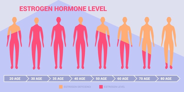 Vector nivel de armonía de estrógeno diagrama con silueta corporal de mujeres o hombres y datos de edad