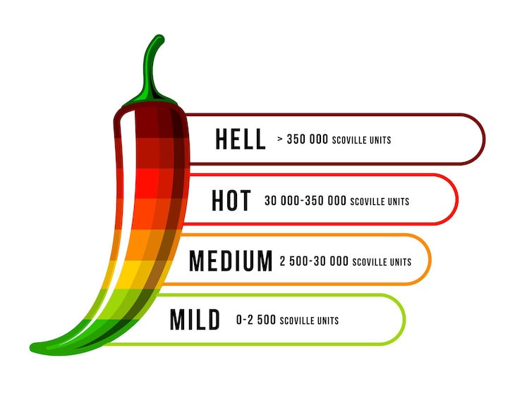 Vector nivel de picor de alimentos picantes escala de fuerza de chili pepper infografía de alimentos vectoriales