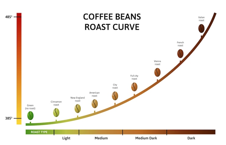 Vector niveles de tueste de café temperatura óptima de la curva de tueste para tostar granos ilustración vectorial