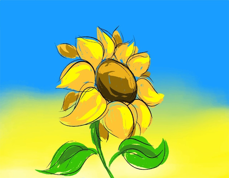 Vector no hay guerra en ucrania girasol ucraniano volumétrico en azul y amarillo símbolo de paz