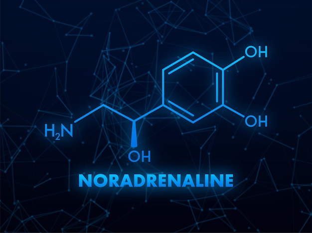 Vector noradrenalina concepto fórmula química icono etiqueta texto fuente vector ilustración