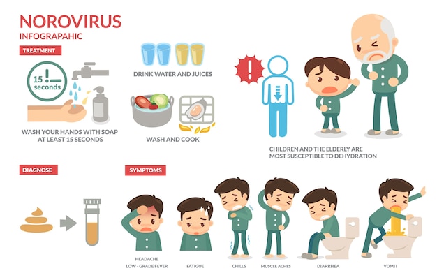 Vector norovirus