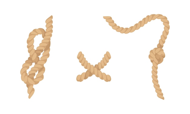 Nudo como complicación de cordura con conjunto vectorial de flexión y bucle