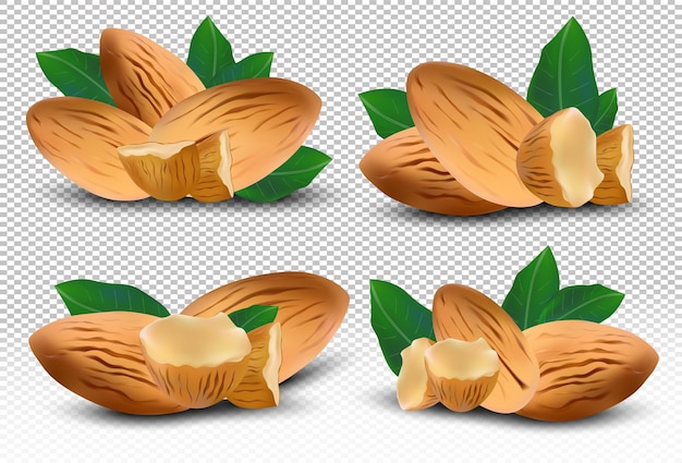 Nueces almendras con hojas sobre fondo transparente Almendra de cerca Almendra de media pieza